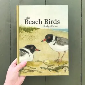The Beach Birds