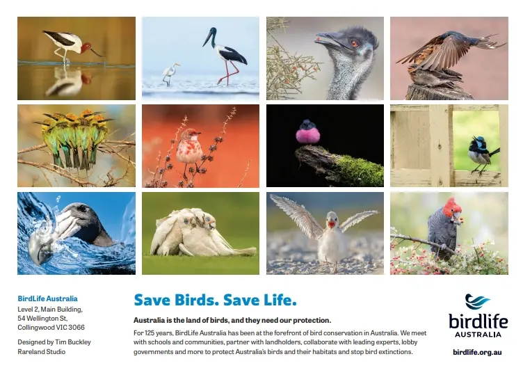 2026 BirdLife Australia Calendar - Image 2