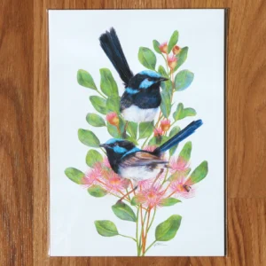 Superb Fairy-wren Art Print by Australian artist Kayla Raey.