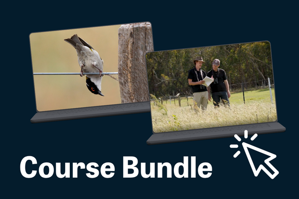Birds on farms bundle
