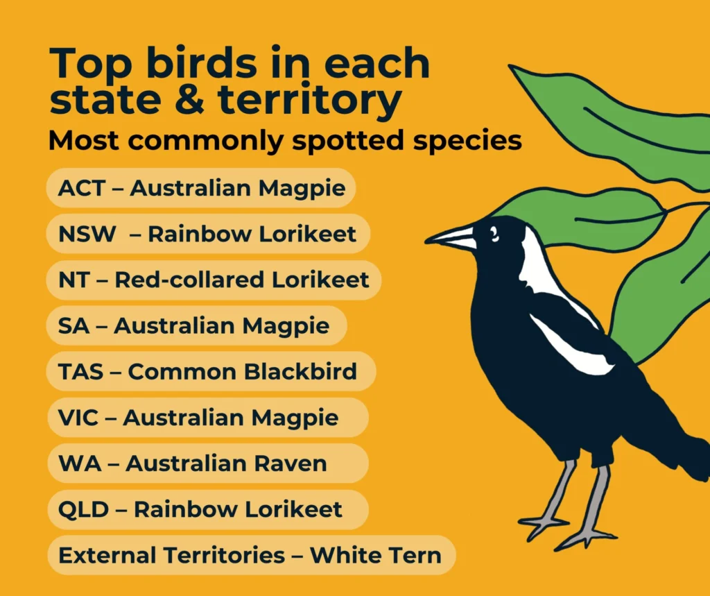 Top birds in each state and territory - Aussie Bird Count 2025