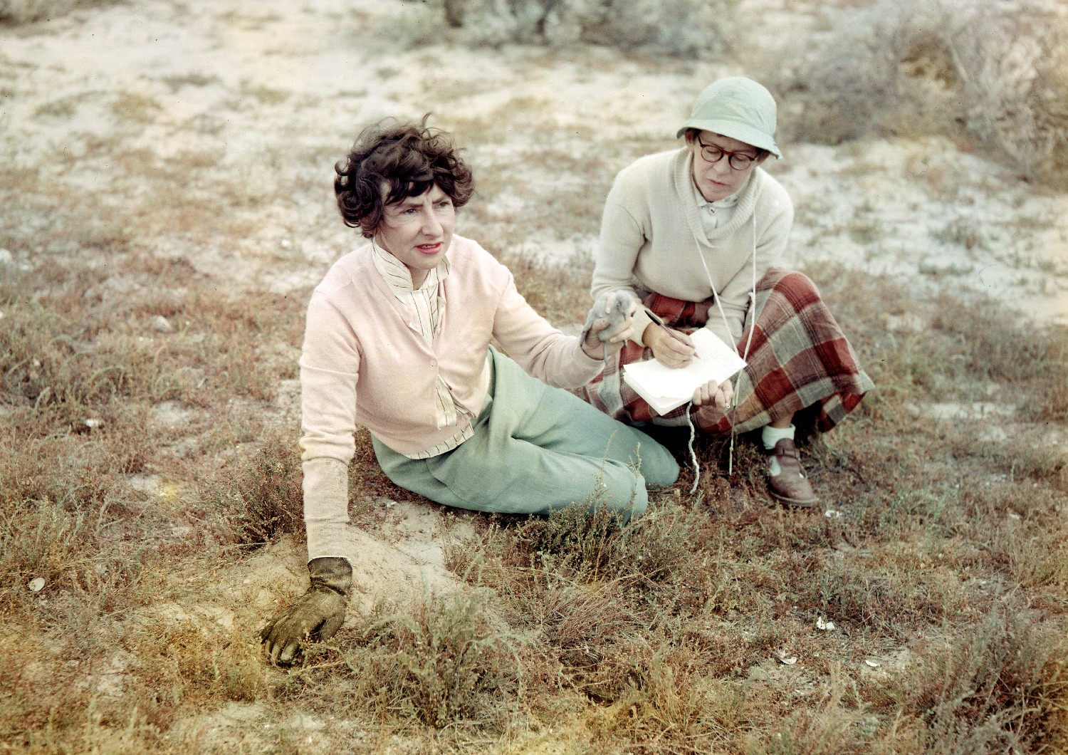 A colourised portrait of two women sitting on the ground during field work. To the left, a woman is holding a White-faced Storm-Petrel chick while the woman on the right takes notes. 