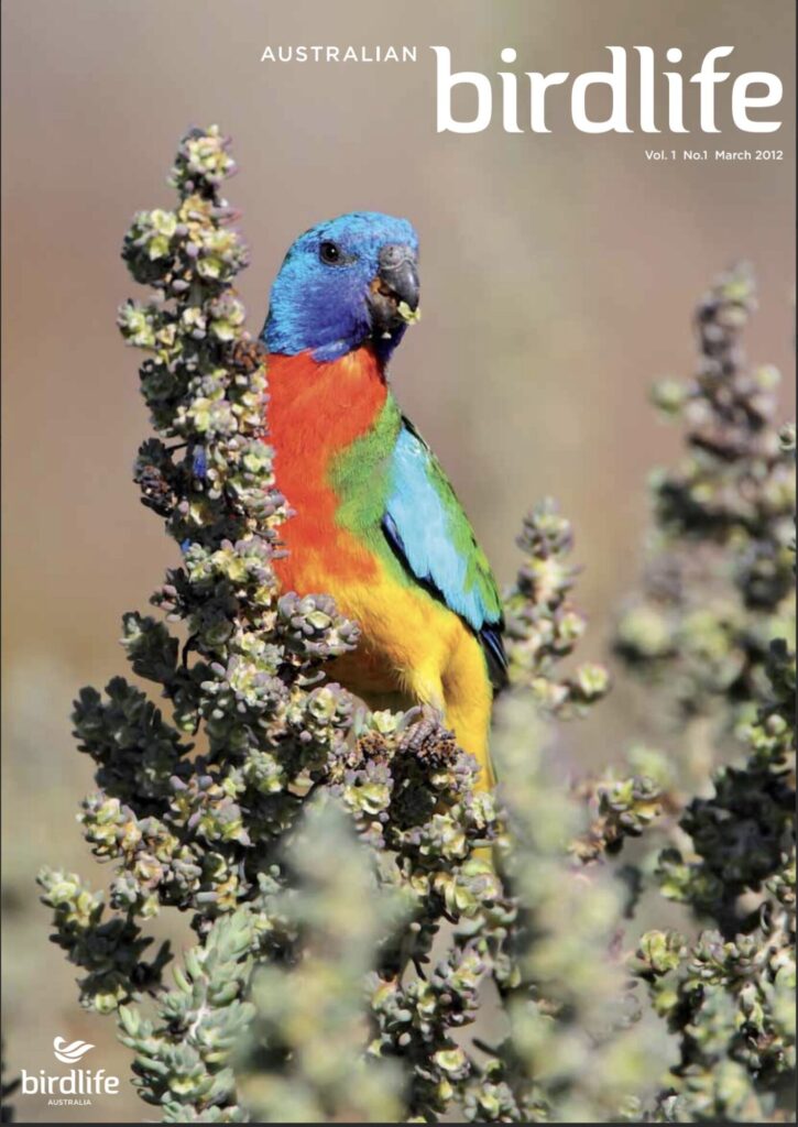 The cover of the first issue of Australian Birdlife magazine, featuring a Scarlet-chested Parrot feeding on saltbush.