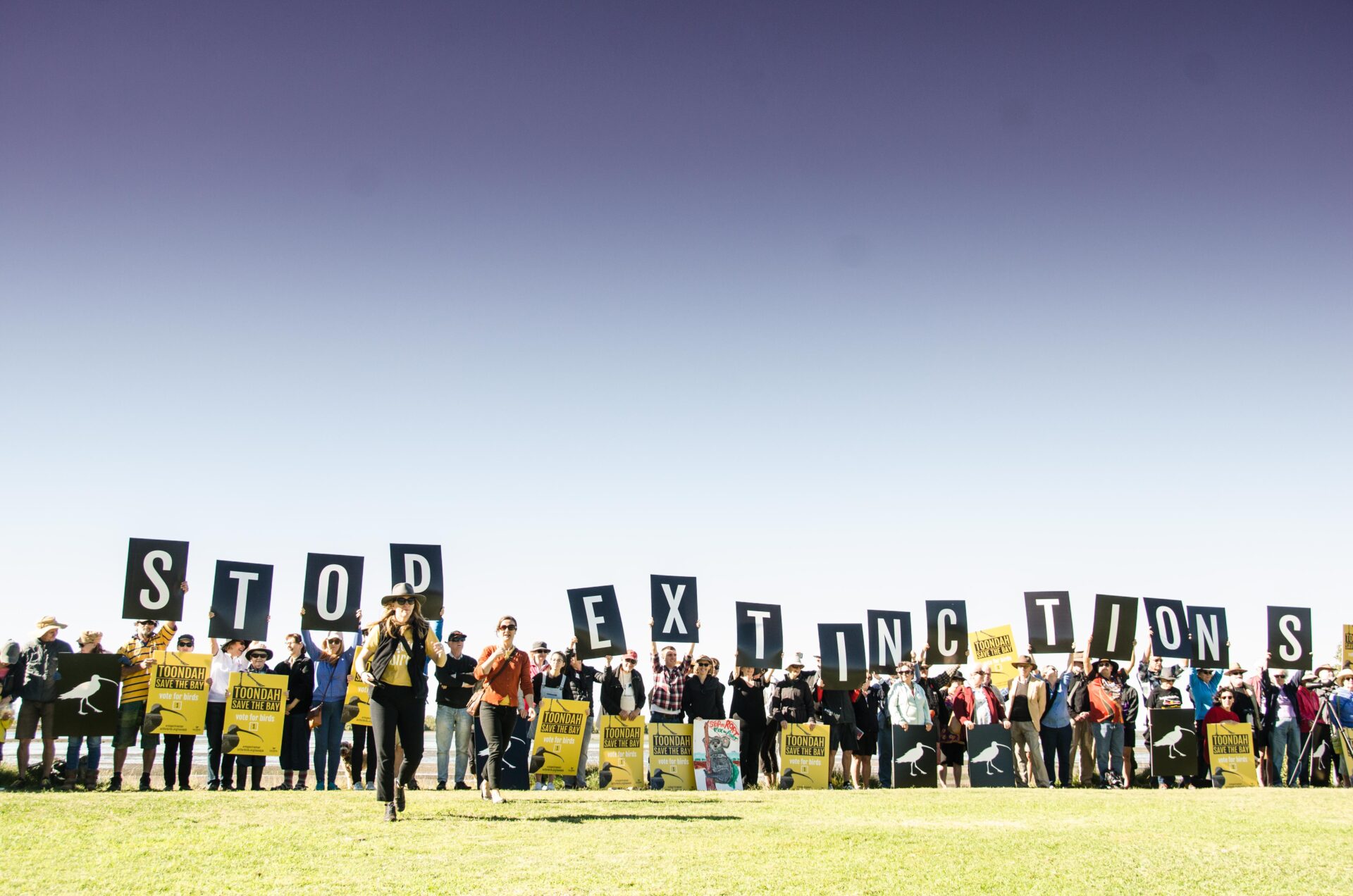 A crowd of protesters gathered on the shores of Toondah Harbour, holding signs that spell out the words Stop Extinctions