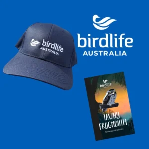 BirdLife Branded Navy Cap & Tawny Frogmouth Bird Pin