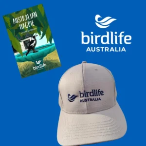 BirdLife Branded Stone Cap & Magpie Bird Pin
