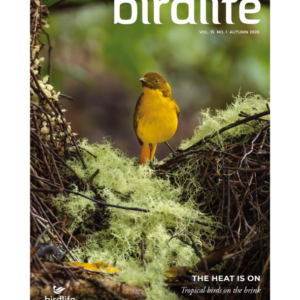 BirdLife Australia Autumn 2026 Magazine