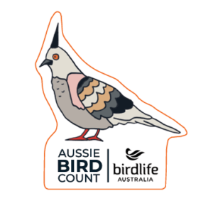Crested Pigeon Sticker