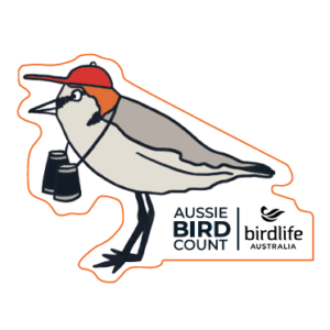 Red-capped Plover Sticker
